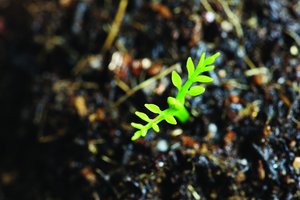 技术避坑指南：新手常犯的10个错误